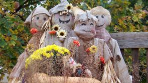 Tipperary Scarecrows - Popular competition returns again