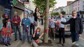 Up  to 2,000 people sign petition to save Clonmel town centre trees