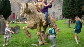 Celebrating the 'new brave' in Clonmel