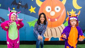 People in Tipperary urged to get involved in Trick or Treat for a great cause