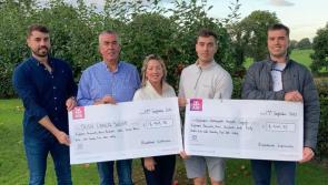 Laffan family overwhelmed by generous  response to sunflower campaign at their Cashel farm