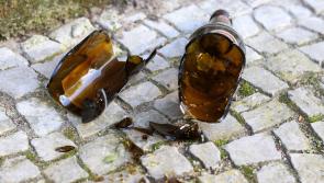 Anti-social behaviour a real problem for Tipp Town according to Councillor