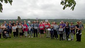 Residents oppose plan for car park at Carrick-on-Suir park