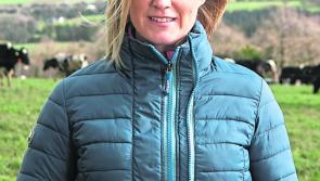 Tullahay Farm from south Tipperary is successful at Blas na hÉireann awards