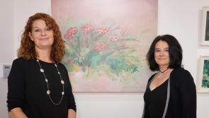 New exhibition in ‘Cahir Arts’ to showcase work of Tipperary artist