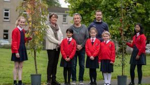 Turning Tipperary green with a donation of 1,000 trees