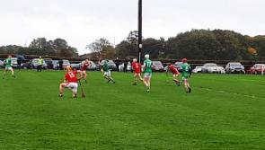 Woods lands 1-10  as Holycross Ballycahill defeat Roscrea to survive the drop