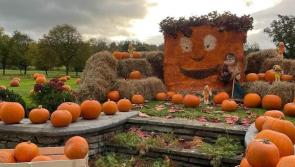 Co Tipperary Golf & Country Club Golf notes for October 25