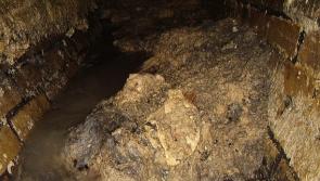 Tipperary people reminded to never flush wet wipes down the toilet - they might come back to haunt you!