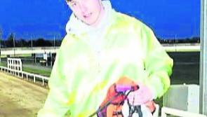 Skywalker Cilla the favourite to bring English Oaks greyhound racing title home to Tipperary