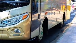 Considerable increase in rural bus services proposed
