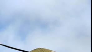 Multi-agency effort ensures injured walker is rescued from Slievenamon 