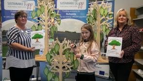 Tipperary County Council and Tipperary Energy Agency are creating a forest of energy ideas