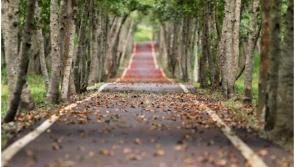 EXPLAINED: Everything you need to know about Public Rights of Way, by Lynch Solicitors