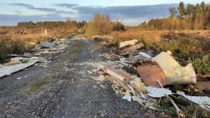 Illegal Dumping in Liskeveen, Littleton
