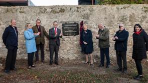 Tipperary council secures €250,000 grant to create public gardens at Clonmel's Suir Island