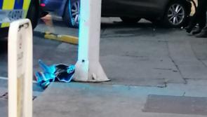 PICTURE: Crash in Borris-Ileigh as emergency services arrive on scene