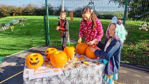 Gallery: Killea National School Tipperary celebrate Scarecrow Festival  in style