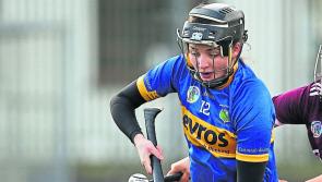 Camogie Association postpones All-Stars ceremony scheduled for next week 