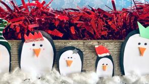 Christmas is coming: Tipperary retailers urged to apply to council for grants