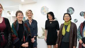 Tipperary exhibition showcasing stunning and unique ceramics in all shapes and forms