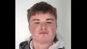 Gardai seek help in locating missing Limerick teenager