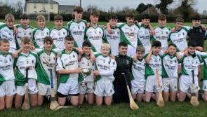 Abbey CBS hold off Ballingarry to win Tipperary's Hennessy Cup hurling final 