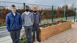Sensory Garden at Coláiste Mhuire Thurles