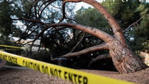 Road Safety Weather Alert – Orange and Yellow Weather Warnings for Storm Kathleen