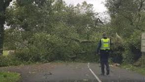 ALERT: Storm Ophelia death in Tipperary serves as chilling warning during Storm Éowyn