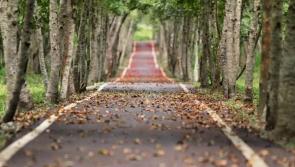 Road in Carrick-on -Suir has now reopened