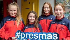 A Presmas Wonderland will be a celebration of Tipperary school's artistic talent
