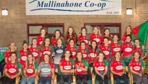 Great welcome home for Munster and Tipperary champions Mullinahone 