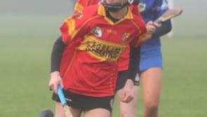 Moycarkey and Shannon Rovers clinch final spots