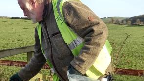 Cashel tidy towns hard at work for Christmas