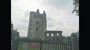 Opening of Kilcash Castle as tourist site would benefit south Tipperary
