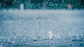 Wow! Weather forecast predicts temperatures as high as 15 degrees Celsius this week 
