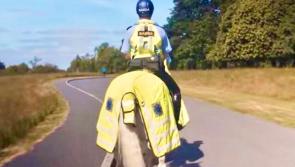 Gardaí and RSA issue advice to motorists about horses on roads