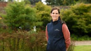 Support for Tipperary's Rachael Blackmore to be crowned top jockey again at Cheltenham