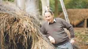 From Ballyclerihan to a life of working with screen legends