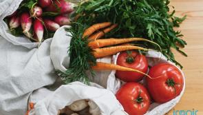 How to go plant based for Veganuary