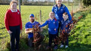 Environmental group rolls out tree planting programme in Tipperary schools