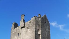 Roscrea CCTV plan approved at Tipperary Joint Policing Committee