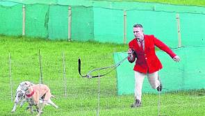 Annual Templetuohy Coursing Festival all set for this weekend