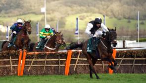 Flooring Porter the toast of the Irish with back-to-back Cheltenham wins
