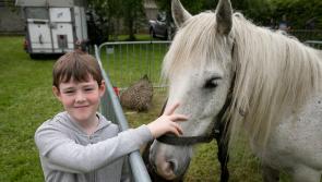 Get your entries in for Clonmel Agricultural Show