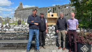 Tipperary barn owl project gets its wings in Lower Ormond