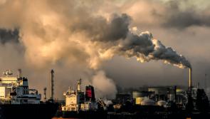 New funding announced to help businesses move away from fossil fuels

