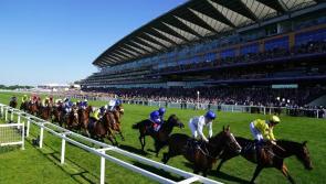  Tipperary trained Luxembourg finishes second at Ascot  in the Prince of Wales's Stakes