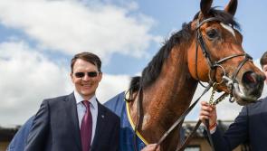 Plenty of Tipperary interest in the spectacular Tattersalls Irish Guineas weekend at the Curragh